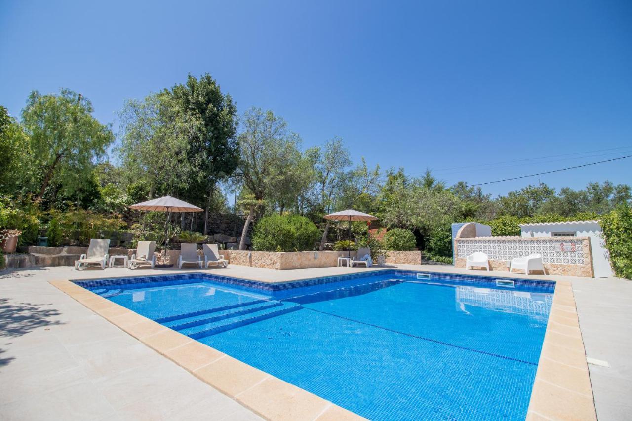 Vila Farm Of Dreams Algarve Almancil Exteriér fotografie